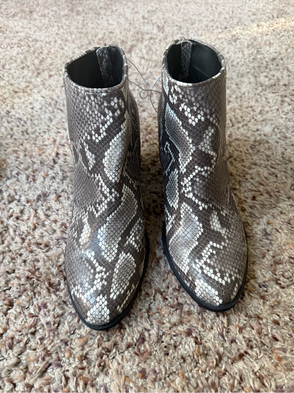 Massini Snake-Print Ankle Boots in Brown and Cream